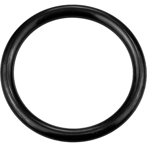 Black Replacement O-Ring, Plain Buying Direct Corp.