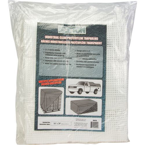 B&acirc;ches transparentes, 30' x 20' x 8 mils Buying Direct Corp.