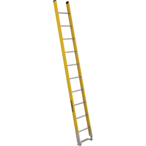 Single Section Straight Ladder - 6100 Series, 10', Fibreglass, 375 lbs., CSA Grade 1AA Buying Direct Corp.