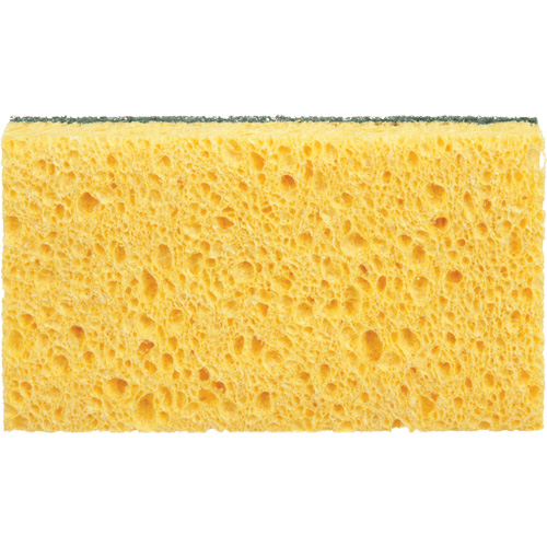 Utility Sponges, Cellulose, 6" W x 3-1/2" L Buying Direct Corp.