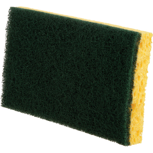 Utility Sponges, Cellulose, 6" W x 3-1/2" L Buying Direct Corp.