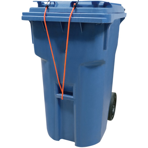 Bungee Cord Tie Downs, 18" Buying Direct Corp.