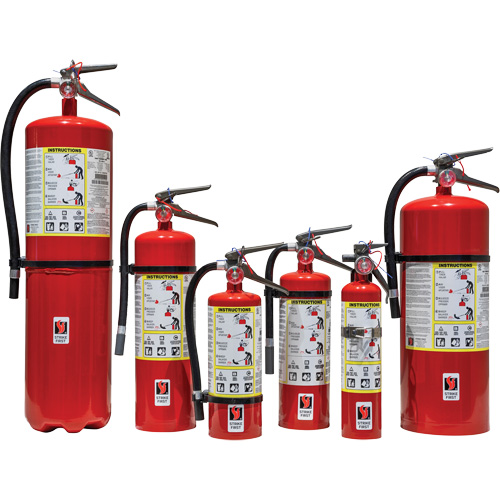 Extincteur d'incendie, ABC, Capacit&eacute; 10 lb Buying Direct Corp.