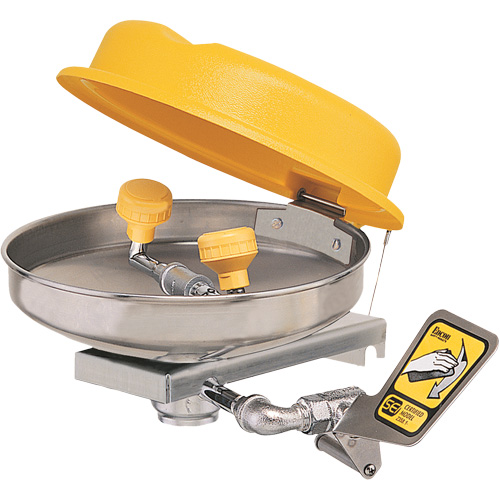 Poste de douche oculaire, Installation Montage mural, Bol Acier inoxydable Buying Direct Corp.