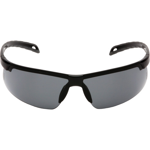 Ever-Lite&reg; Safety Glasses, Grey Lens, Anti-Fog, ANSI Z87+/Meets/Exceeds CSA Z94.3 Buying Direct Corp.