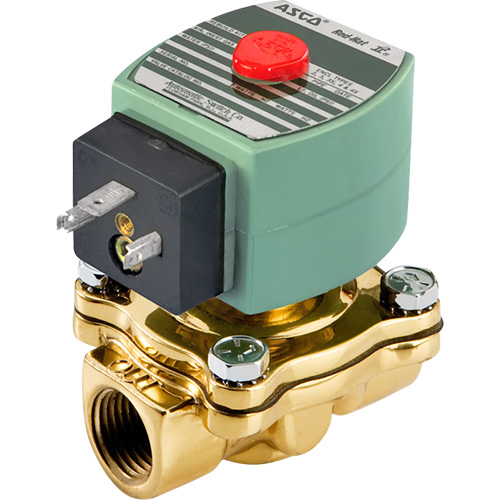 Robinet &eacute;lectromagn&eacute;tique, Tuyau de 1/2", 150 psi Buying Direct Corp.