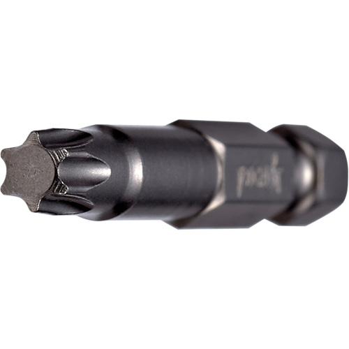 Embout pour outil &eacute;lectrique, Torx, Embout T-10, Prise 1/4", Longueur 2" Buying Direct Corp.