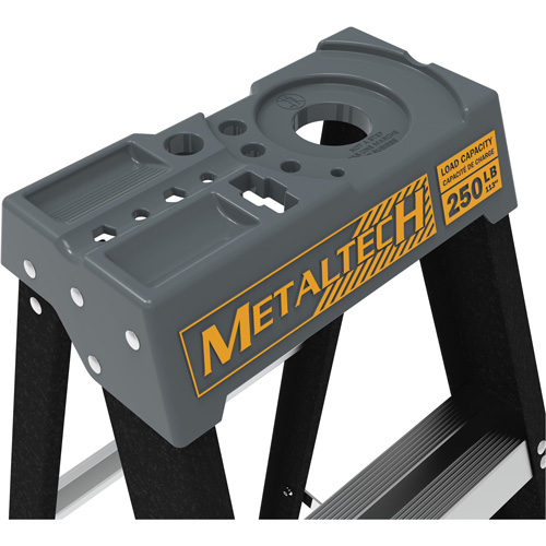 Escabeau avec plateau &agrave; peinture, 8', Fibre de verre, Capacit&eacute; 250 lb, Type 1 Buying Direct Corp.