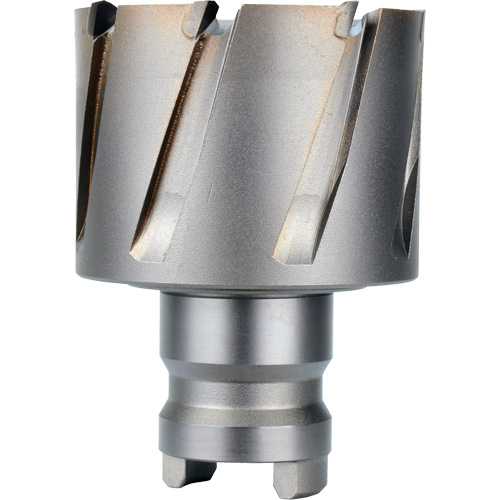 Quick Change Tang Drive Hawg&reg; Cutter, 2" Diameter, Steel, 1" Depth of Cut Buying Direct Corp.