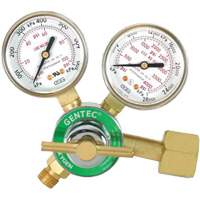 Light-Duty Single Stage Regulator, Oxygen, CGA540 Inlet Buying Direct Corp.