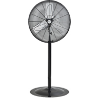 Pedestal Fans