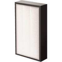 AeraMax&reg; Pro AM2 1-3/4" True HEPA Filter, Box, 7.38" W x 1.88" D x 12.88" H Buying Direct Corp.