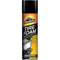 Tire Foam&reg; Protectant Buying Direct Corp.