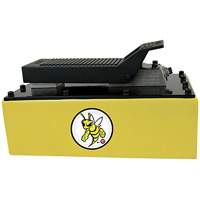 Pompe hydraulique &agrave; air de 5 pintes Buying Direct Corp.