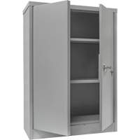 Counter-High Storage Cabinet, Steel, 2 Shelves, 42" H x 30" W x 15" D, Grey Buying Direct Corp.