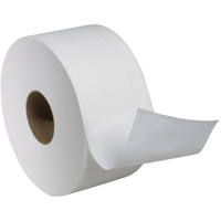Advanced Soft Mini Toilet Paper, Jumbo Roll, 2 Ply, 751' Length, White Buying Direct Corp.