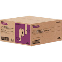 Papier hygi&eacute;nique Pro Select, Rouleau G&eacute;ant, 2 Pli, Longueur 500', Blanc Buying Direct Corp.