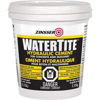 Watertite&reg; Hydraulic Cement Buying Direct Corp.
