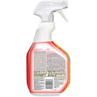 Disinfecting Bio Stain & Odour Remover, 946 ml, Trigger Bottle Buying Direct Corp.