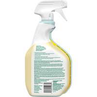 Nettoyant tout usage CloroxPro Clorox EcoClean, 946 ml, Bouteille &agrave; g&acirc;chette Buying Direct Corp.