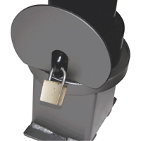 Bornes d&eacute;coratives amovibles, Acier, 40" h x 4-1/2" la, Noir Buying Direct Corp.