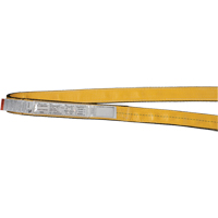 &eacute;lingues de levage en polyester, Pli Simple, Sans fin, Type 5, 3" la x 3' lo, Capacit&eacute; verticale 9400 lb Buying Direct Corp.