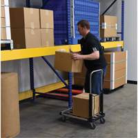 Fold-Up Platform Truck, Stainless Steel, 300 lbs., 28" L x 16" W, 33-1/2" High Buying Direct Corp.