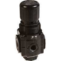 Series 1 Manifold Regulator, 1/4" NPT, 150 PSI Max. PSI, Standard Buying Direct Corp.