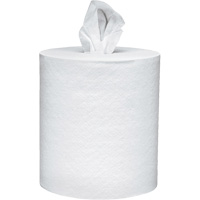 Scott&reg; Essential Paper Towels, 2 Ply, Centre Pull, 625' L Buying Direct Corp.