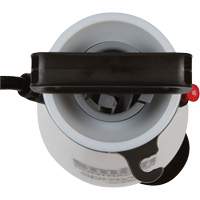 Contractor Max Sprayer, 1 gal. (4.5 L), Polyethylene, 14" Wand Buying Direct Corp.