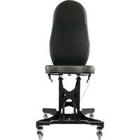 Flex III Ergonomic Chair Buying Direct Corp.