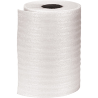 Rouleau de mousse StarFoam, R&eacute;gulier, &eacute;paisseur 1/32", 48" la x 2000' lo Buying Direct Corp.