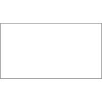 Packing List Envelopes, 4" L x 5" W, Endloading Style Buying Direct Corp.