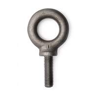 Eye Bolt, 5/8" Dia., 1-3/4" L, 4000 lbs. (2 tons) Capacity Buying Direct Corp.