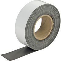 Write-On Magnetic Tags, Magnetic, 600" L x 2" W Buying Direct Corp.