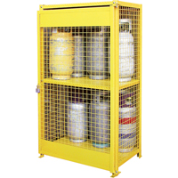 Gas Cylinder Cabinets, 12 Cylinder Capacity, 44" W x 30" D x 74" H, Yellow Buying Direct Corp.
