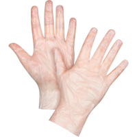 Economy Disposable Gloves, Large, Polyethylene, 1-mil, Powder-Free, Clear Buying Direct Corp.