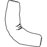 Manchettes, Longueur de 18", Tyvek 400, Blanc Buying Direct Corp.