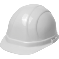 ERB Omega II Safety Cap, CSA Type 2, Quick-Slide Suspension Buying Direct Corp.