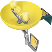 Eye/Face Wash Station, Wall-Mount Installation, Plastic Bowl Buying Direct Corp.