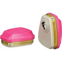 Cartouches pour respirateur s&eacute;rie 6000, Cartouche gaz/vapeur, Gaz multiples/Vapeurs/P100 Buying Direct Corp.