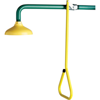 Lifesaver&reg; Emergency Overhead Showers, Wall-Mount Buying Direct Corp.