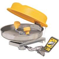 Eyewash Station, Wall-Mount Installation, Stainless Steel Bowl Buying Direct Corp.