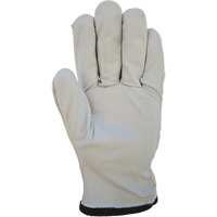 Cotton-Backed Drivers Gloves, Large, Grain Goatskin Palm Buying Direct Corp.