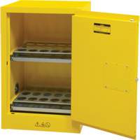 Armoire de rangement pour a&eacute;rosols inflammables, 12 gal., 1 Porte(s), 23" La x 35" h x 18" p Buying Direct Corp.