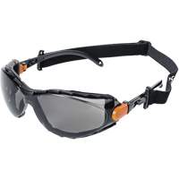 XPS502 Sealed Safety Glasses, Smoke Lens, Anti-Fog/Anti-Scratch Buying Direct Corp.