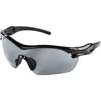 XP420 Safety Glasses, Smoke Lens, Anti-Fog/Anti-Scratch Buying Direct Corp.