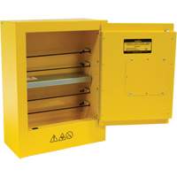 Armoire de s&eacute;curit&eacute; miniature pour produits inflammables, 2 gal., 1 Porte(s), 17" La x 22" h x 8" p Buying Direct Corp.
