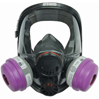 Respirateur &agrave; masque complet North s&eacute;rie 7600, Silicone, Petit Buying Direct Corp.
