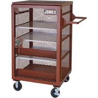 Mobile Mesh Cabinet, Steel, 22 Cubic Feet, Red Buying Direct Corp.